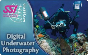 digital-underwater-photography